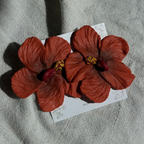 Pendientes Hibiscos