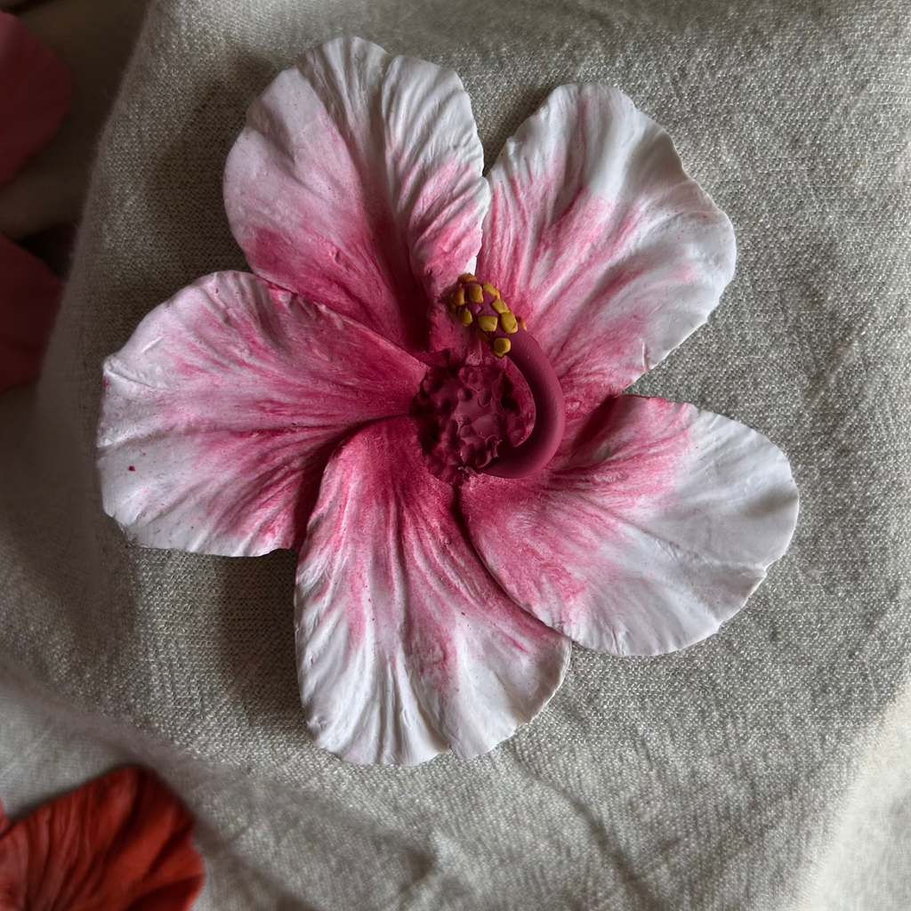 Pinza Hibisco