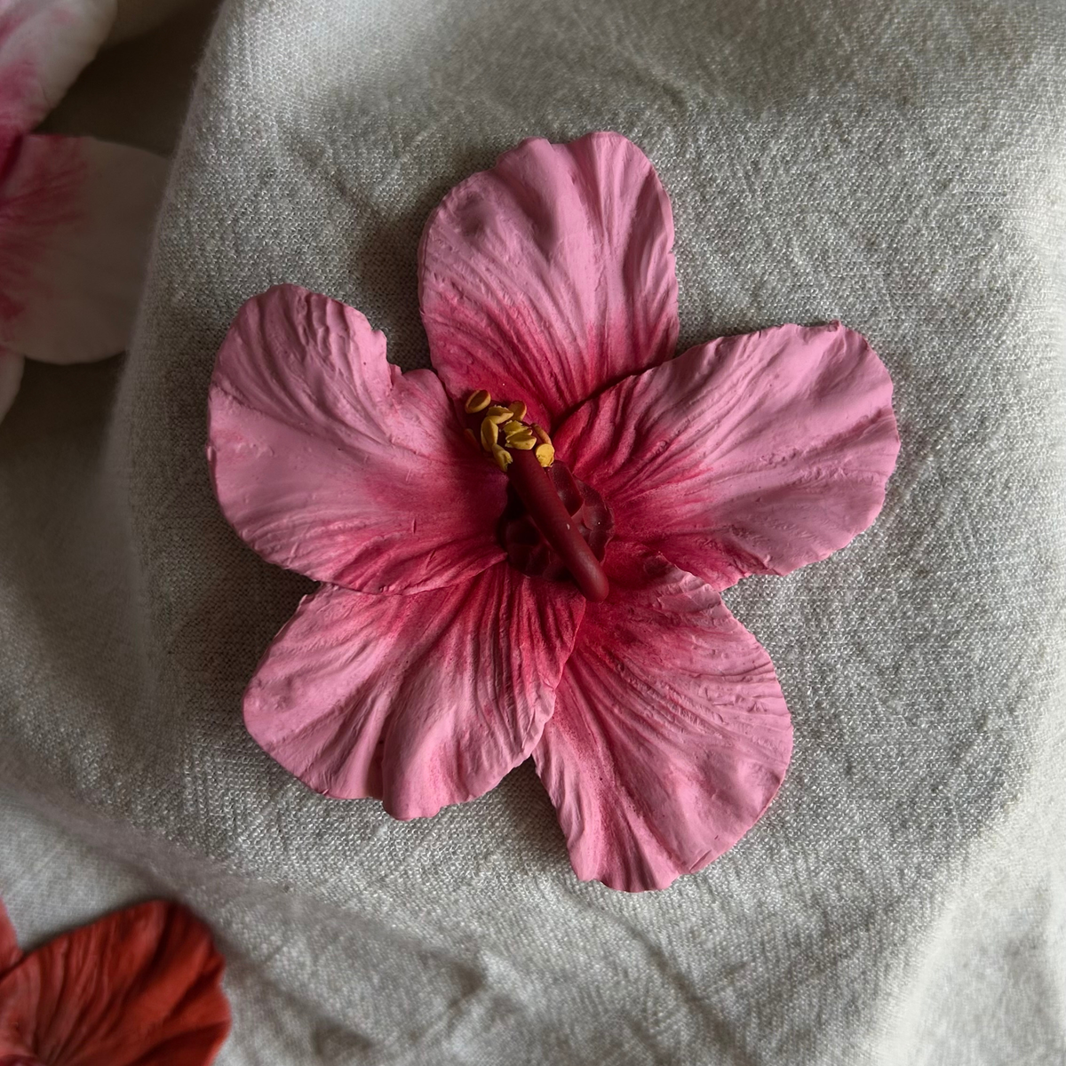Pinza Hibisco