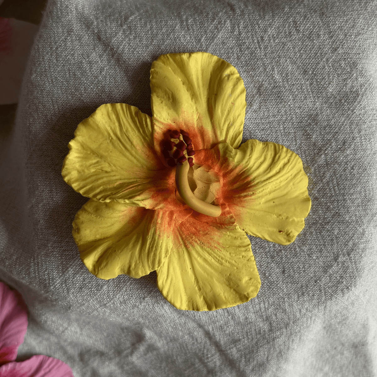 Pinza Hibisco