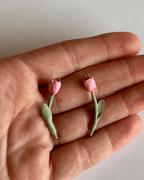 Tulipa