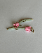 Tulipa