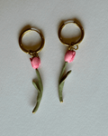 Tulipa