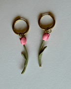 Tulipa