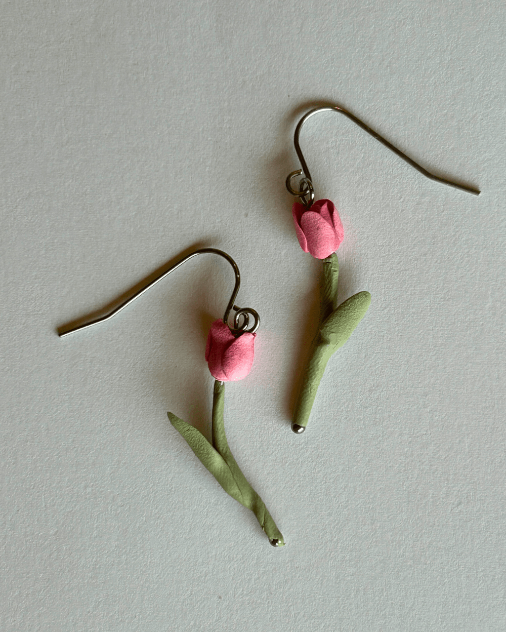 Tulipa