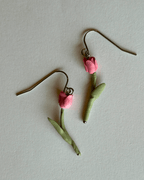 Tulipa