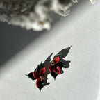 Flor de Pascua