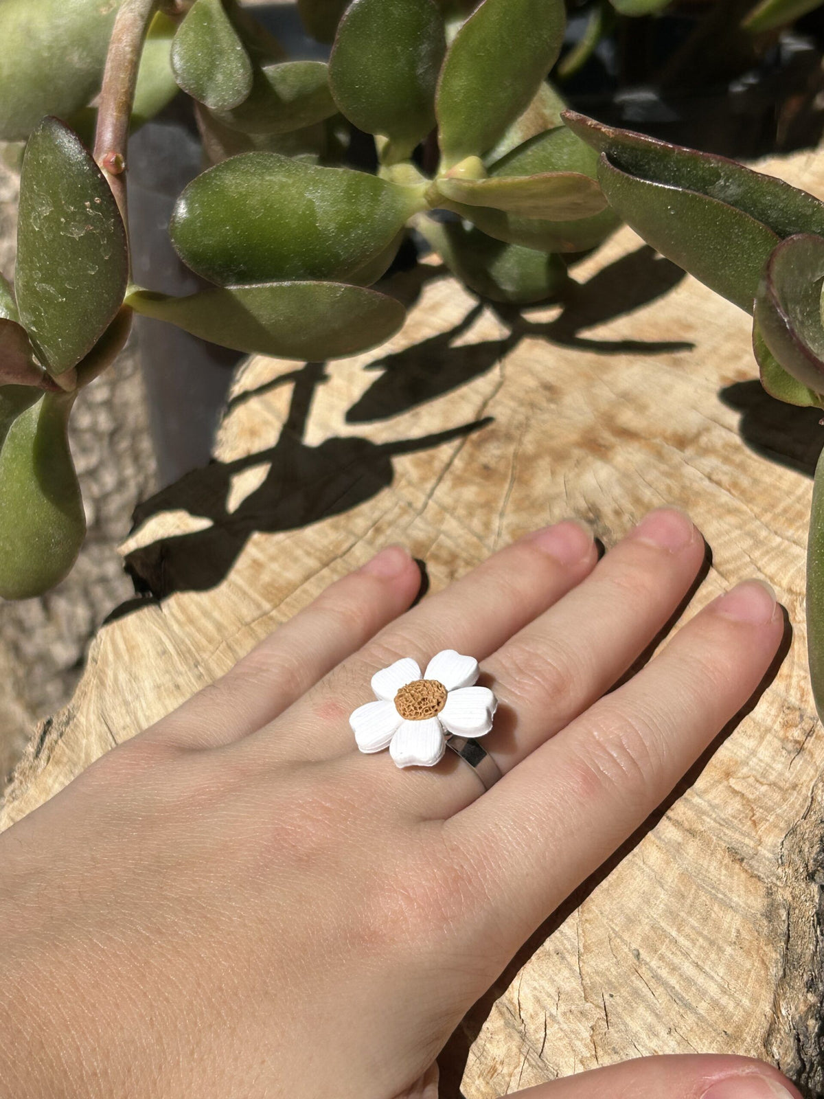 Anillo Marga