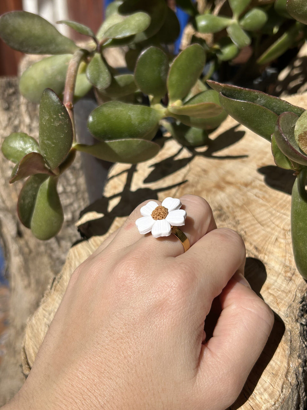 Anillo Marga