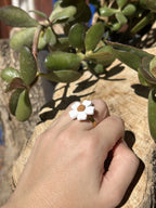 Anillo Marga