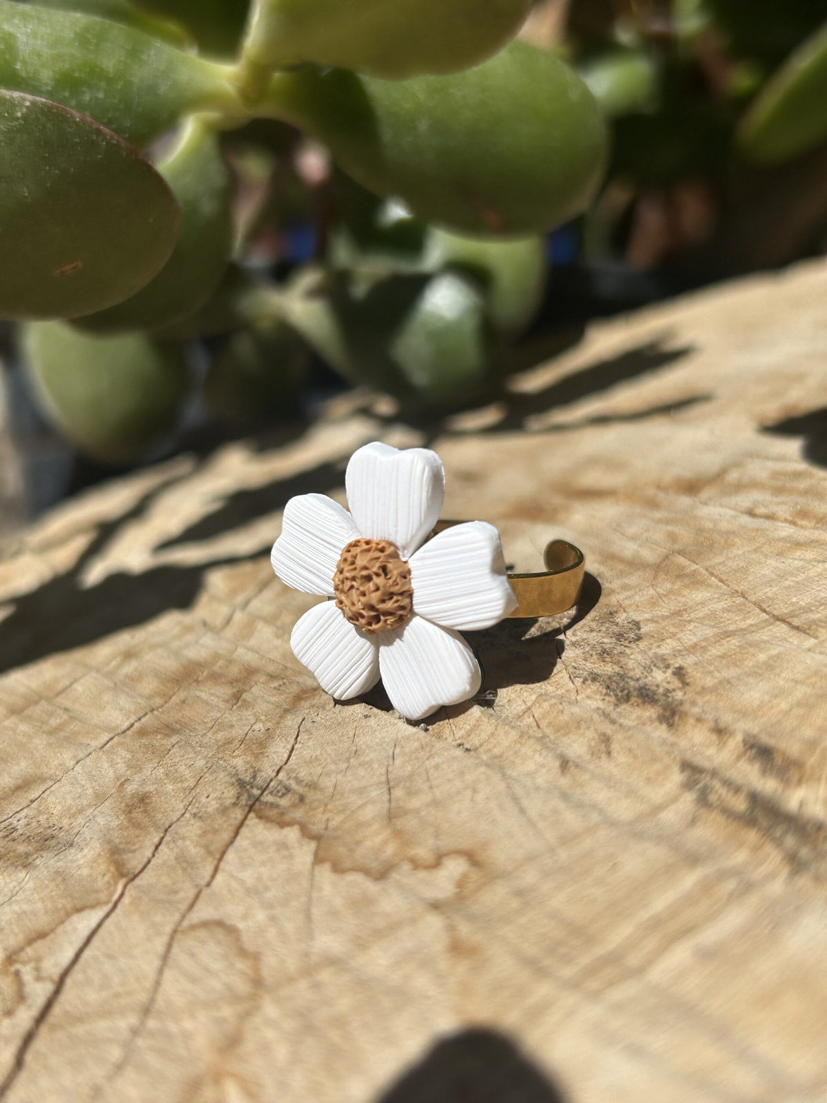 Anillo Marga