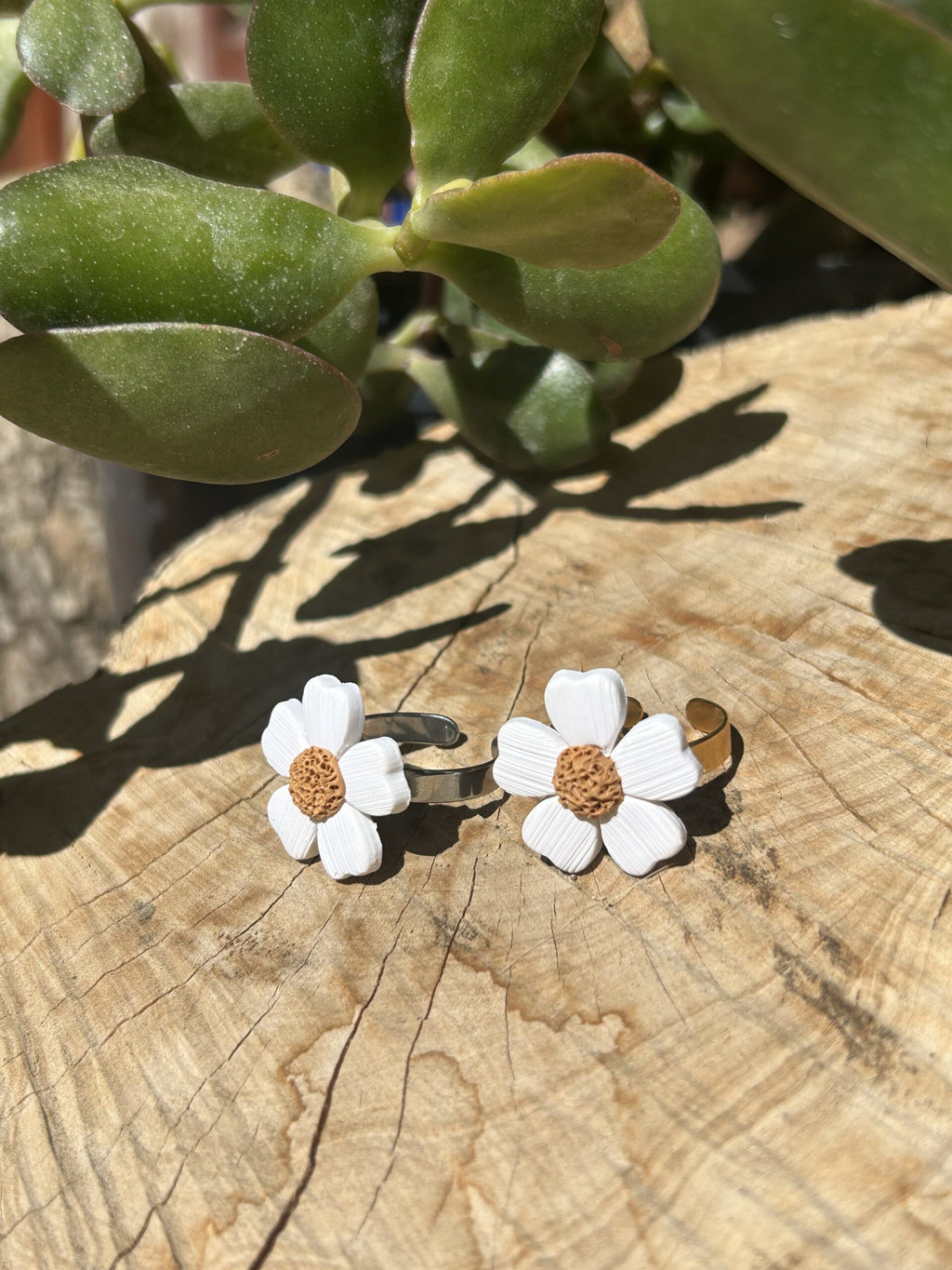 Anillo Marga