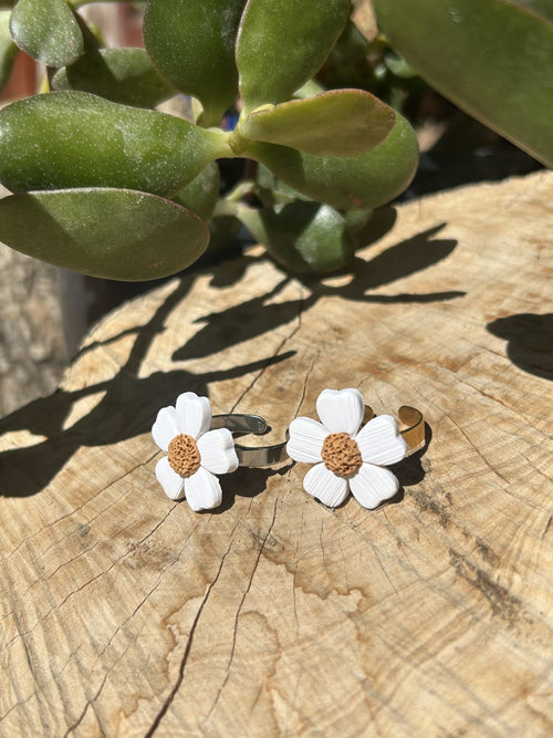 Anillo Marga