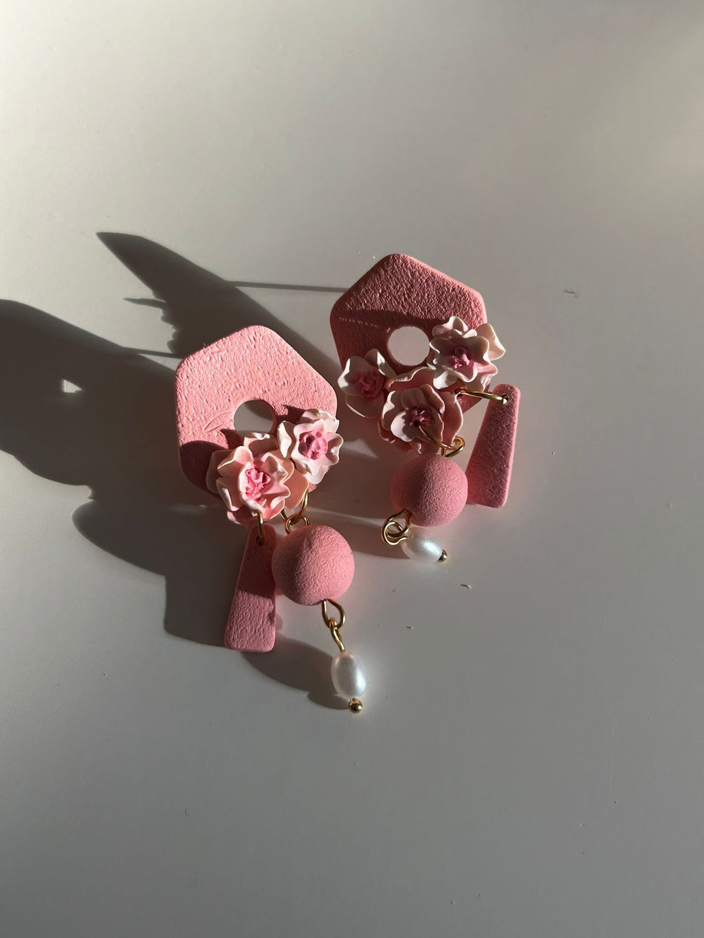 Chrysaora - Rosa
