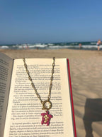 Charm tortuga
