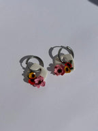 Charm Pomona
