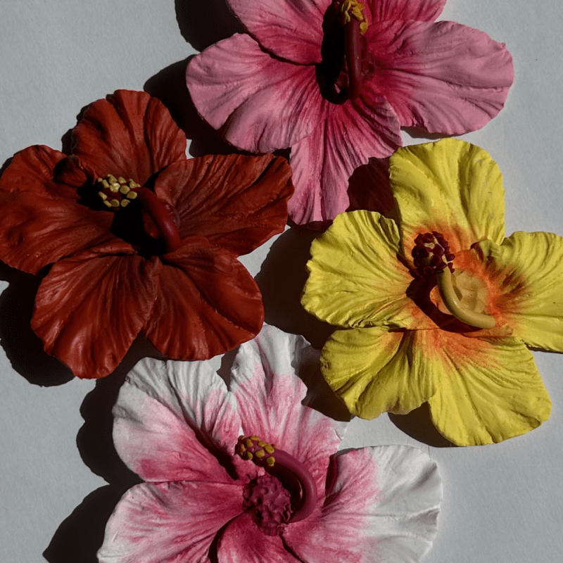 Pinza Hibisco
